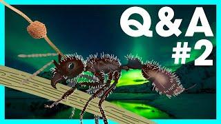Deadly Fungus, Ants in Winter, & College | Questions & Antswers #2