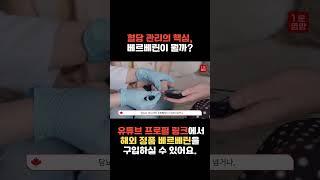 뱃살, 피로의 핵심 혈당 관리｜베르베린 , 진짜 효과있을까?