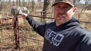 Setting and Baiting Hog Traps! 