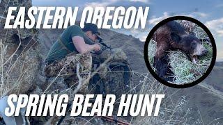 Logan's First Bear | 2023 OREGON SPRING BEAR HUNT // PART 1