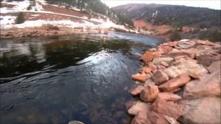 32" 10lb+  Brown Trout Frying Pan River