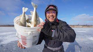 Filling a 5 Gallon Bucket Full of Walleye, Crappie, and Perch! (Ice Fishing CATCH CLEAN COOK)