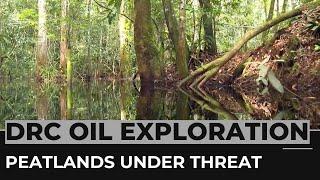 DRC oil exploration: World's largest tropical peatlands under threat