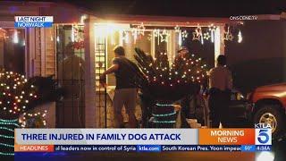 Attack by family dog leaves 3 injured in Norwalk home