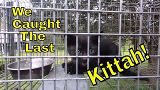 Kitten Rescue: Dr. Lindsay Catches The Last Lonely Kitten : Family Reunited!