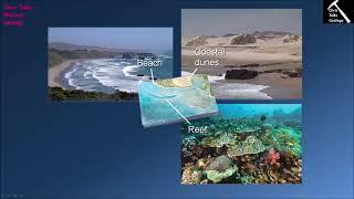 What Sedimentary Environments are Near Shorelines and Oceans? (Chapter 7 - Section 7.2)