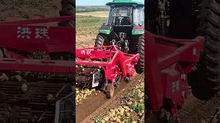 Unleash Harvest Potential with Our Heavy-Duty Potato Diggers #automobile #machinerychannel #farming