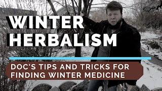 Winter Herbalism! How to Stay Healthy without your Garden Fresh Herbs!