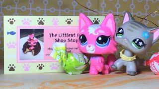 Opening pets from The Littlest Pet Shop Stop!