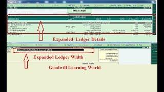 Tally TDL for Expand Ledger , Stock item information and Increase width for Ledger, Stock item name