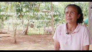 Making a living from coffee: Working for other farmers