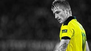 Top 5 Goals | Marco Reus 2013/14 (HD)