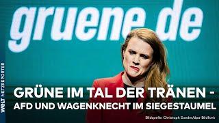 RECHTSRUCK IN EUROPA: Schock für Grüne bei Europawahl – AfD wird zweitstärkste Kraft