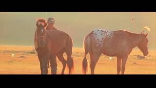 Mongolian traditional practices of worshipping the sacred sites