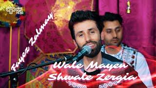 Fayez Zalmay - Wale Mayen Shwale Zergia Live 2024