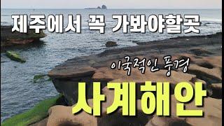 [제주여행]제주에서 꼭 가봐야할곳 이국적인 풍경 사계해안|사계해변|형제섬|서귀포서쪽|서귀포여행|제주여행|jeju island|済州島|濟州島旅行|송악산둘레길|산방산|송악산