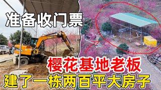 樱花基地老板房子被强拆后，花几千块搭建了一个200平钢架棚，准备对游客收费观赏樱花