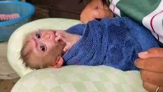 Baby Monkey DORN So Warm IN Towel