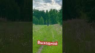 Выходной дома 