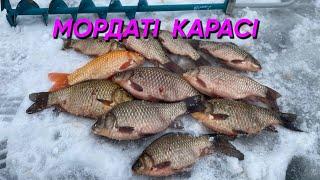 МОРДАТІ КАРАСІ не ЛІЗУТЬ в ЛУНКУ!!! ПОПАЛИ на РОЗДАЧУ КРУПНОГО КАРАСЯ!!!