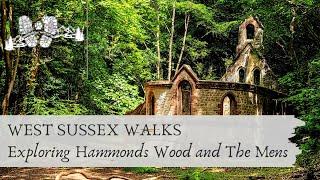 Exploring Hammonds Wood and The Mens - WEST SUSSEX WALKS