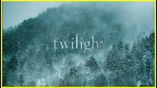 (instrumentals + rain ambience) a nostalgic twilight comfort playlist