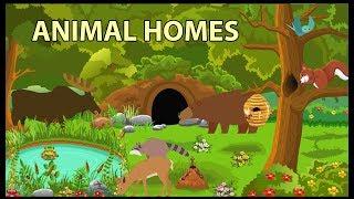 Animal Homes Vocabulary for Kids