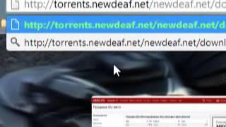 как качать фильм в torrents.newdeaf.net.wmv