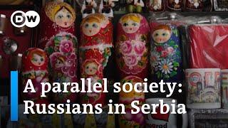 How a Russian community is establishing itself in Serbia | DW News