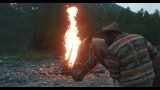 A man petting a horse by bonfire outdoors