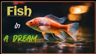 Fish Dreams Explained: What They Really Symbolize!