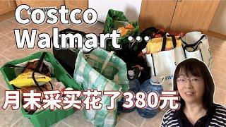 我在加拿大月末购物体验：清点Costco Walmart  Superstore 三大超市都买了些什么？生活支出递增呀