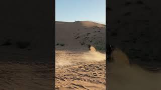 2022 KTM 1290 SUPER ADVENTURE R Off-road Testing on Dubai Sand