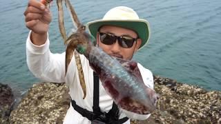 CATCH AND COOK DELICIOUS SQUID!! OSAKA RECIPE | Fishing in Japan