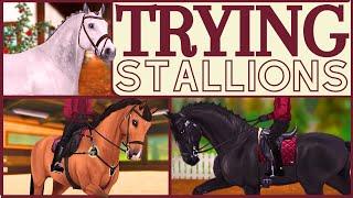 HORSE SHOPPING FOR MY DREAM STALLION ~ Star Stable Realistic Roleplay