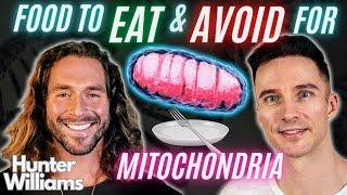 TOP MITOCHONDRIA Supporting FOODS You Need to Know