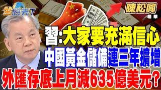 【精華】習：大家要充滿信心 陸股反而大跌？ 陸首席經濟學家演講 觸習大大逆鱗？ 中國黃金儲備 連續第三年擴增 外匯存底上月減635億美元？ #陳松興 @tvbsmoney  20250109