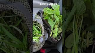 오늘의 수확물!!
