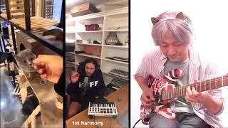 Alugalug Cat X The Kiffness X Kobe KOTA MUSIC (meowing guitar?)