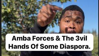 Amba Forces & The 3vil Hands Of Some Diaspora.