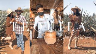 MEXICO VLOG | UN DIA EN  TEQUILA JALISCO  + CANTARITOS EL GUERO EN AMATITAN JALISCO