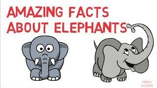 Amazing facts about elephants - trivia - animal kingdom for kids - Simply E-learn kids