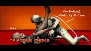 Master Moves of MMA (Mixed Martial Arts) - Human Weapon