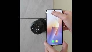 Viladepot Smart Lock Fingerprint Door Lock App Remote Control Passcode Unlock Electronic To