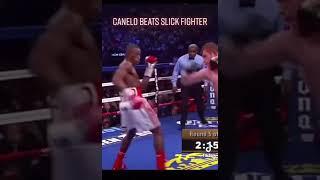 canelo alvarez vs erislandy lara (Slick Fighter) #shorts shorts