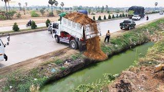 Amazing Landfill project by Excellent Skill Driver Dozer pushing Soil with Dump truck pouring soil