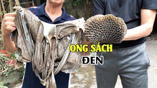 ONG SÁCH BÒ • Để Đen Luộc Tương Gừng & Dạ Sách Xào Khế | MÓN NGON BÉN RƯỢU