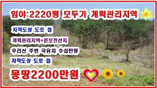 [급매] 놓치지말아야 할 임야 2220평 모두가 계획관리지역 이네요 그기다가 준보전산지고요 지적도상 도로도 접  주변에 국유림 대빵많음 몽땅 2200만원