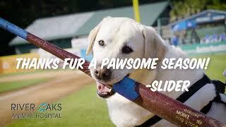 Best Of Slider | Slider Cam presented by River Oaks Animal Hospital