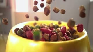 Go-Cat Crunchy and Tender 2015 TV AD